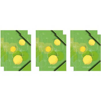 Teczka kartonowa A4 z gumką narożną KWAŚNA CYTRYNKA BT601-A1 TETIS