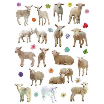 Naklejka Craft-Fun Series Sheep 490754 TITANUM