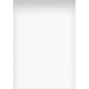 Blok artystyczny A3 rysunkowy szkicownik 50 kartek 120g klejony 400166120 OXFORD