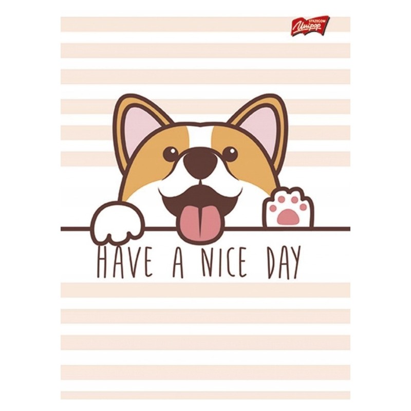 Zeszyt A5 16k 3linia dwukolorowa mix laminowany dziewczęcy UNIPAP