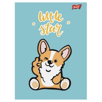 Zeszyt A5 16k 3linia dwukolorowa mix laminowany dziewczęcy UNIPAP