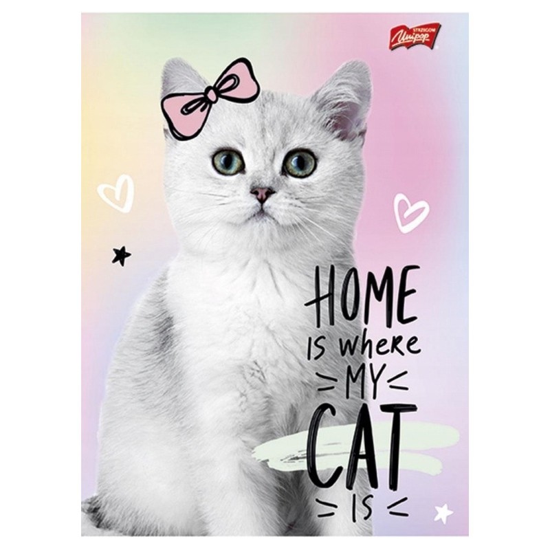 Zeszyt A5 16k kratka laminowany mix dziewczęcy UNIPAP