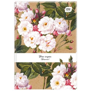 Brulion B5 160k linia twarda oprawa INTERDRUK