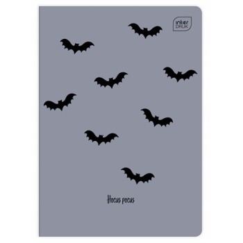 Zeszyt A5 32k kratka kolorowa mix INTERDRUK