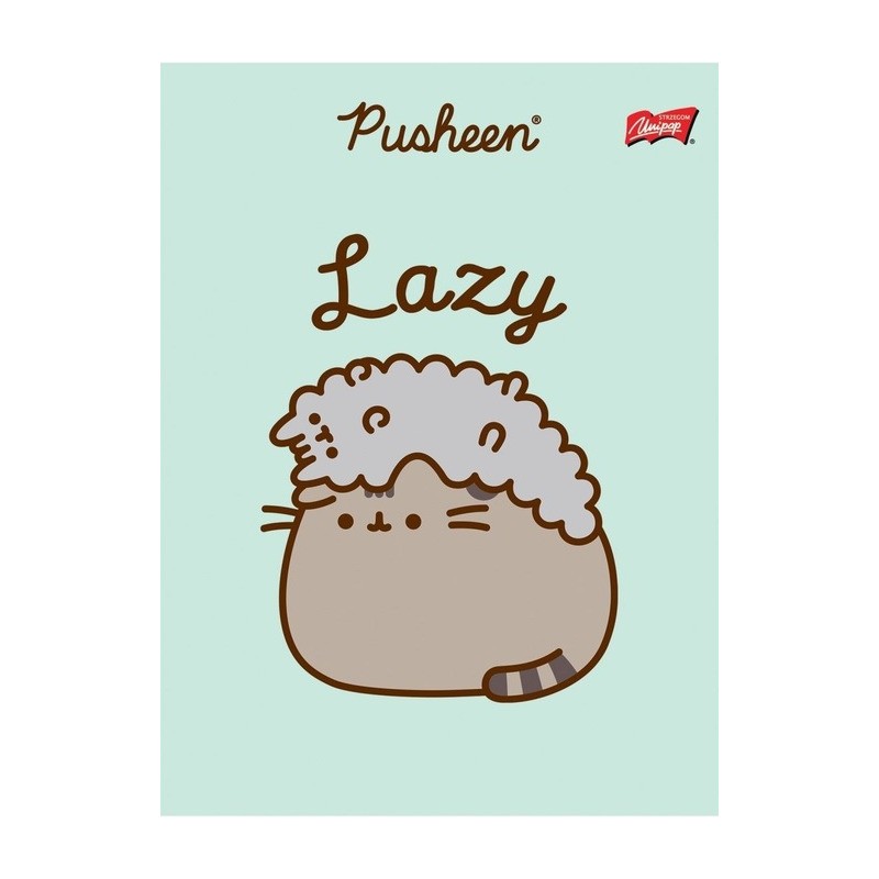 Zeszyt szkolny A5 32 kartki w kratkę laminowany PUSHEEN ST.MAJEWSKI