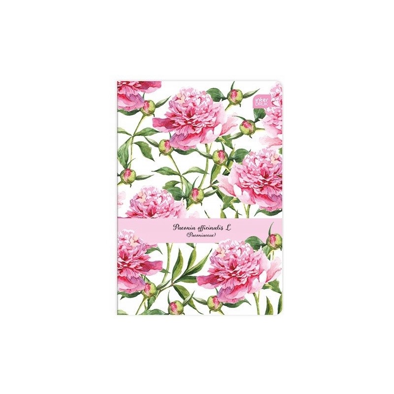 Zeszyt A5 80k linia INTERDRUK