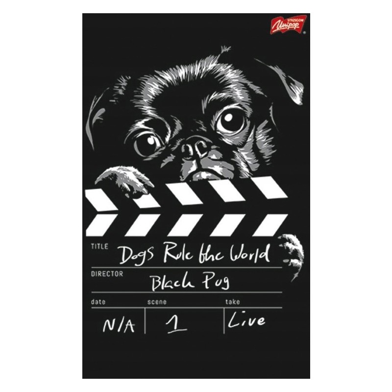 Zeszyt A5 60k kratka mix chłopięcy 2 laminowany UNIPAP