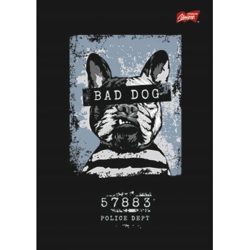 Zeszyt A5 60k kratka mix chłopięcy 2 laminowany UNIPAP