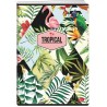 Zeszyt A5 80k linia okładka miękka TROPICAL EL-M10-080-LA5 ELISA