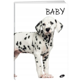 Zeszyt A5 32k kratka okładka miękka BABY EL-M5-032-KA5 ELISA