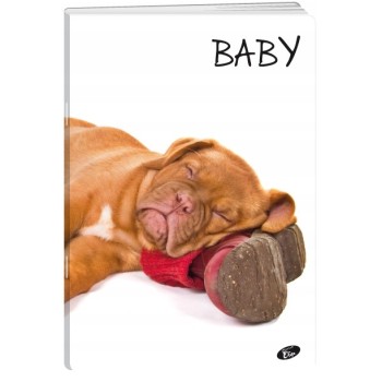 Zeszyt A5 32k kratka okładka miękka BABY EL-M5-032-KA5 ELISA