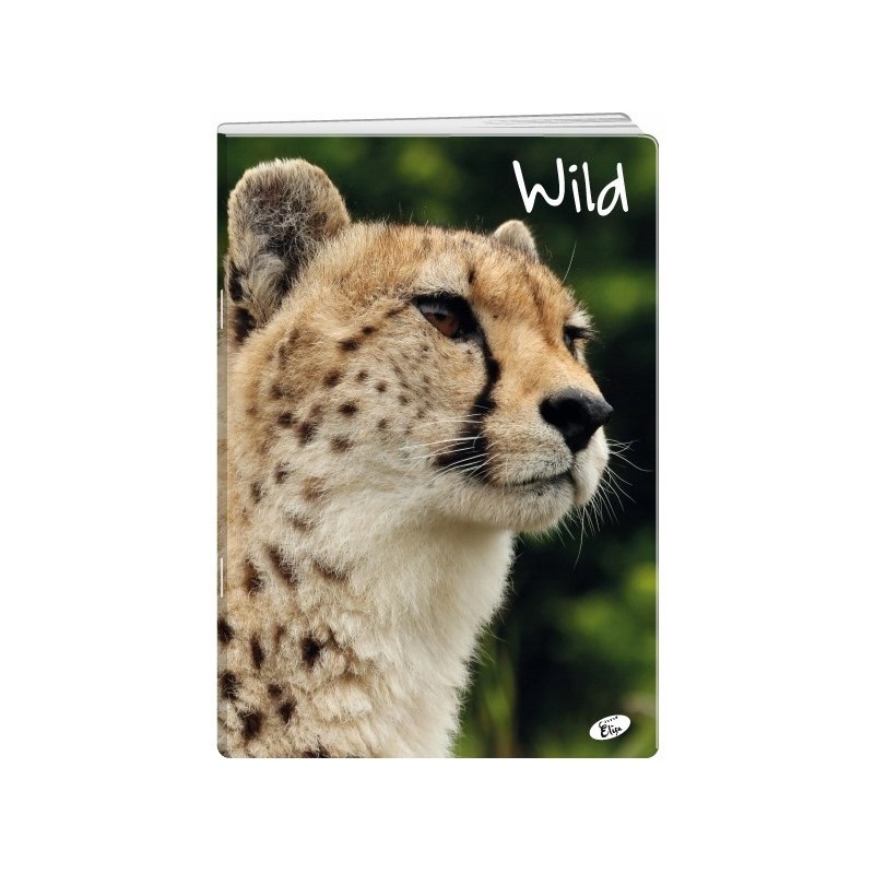 Zeszyt A5 32k kratka okładka miękka WILD EL-M6-032-KA5 ELISA