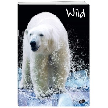 Zeszyt A5 32k kratka okładka miękka WILD EL-M6-032-KA5 ELISA