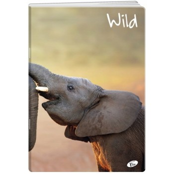 Zeszyt A5 32k linia okładka miękka WILD EL-M6-032-LA5 ELISA