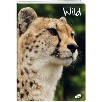 Zeszyt A5 32k linia okładka miękka WILD EL-M6-032-LA5 ELISA
