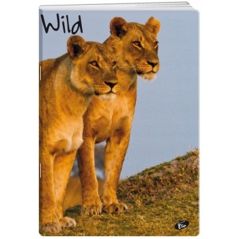 Zeszyt A5 32k linia okładka miękka WILD EL-M6-032-LA5 ELISA