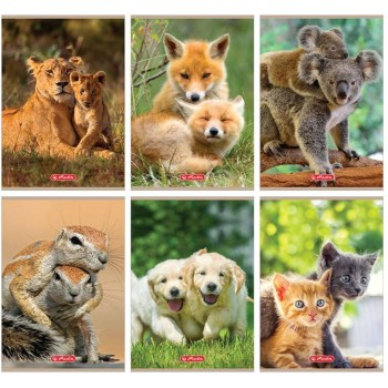 Zeszyt szkolny A5 32 kartki w 3 linie kolorową 70g ANIMALS 9583071 HERLITZ