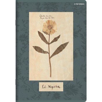 Zeszyt A5 60k linia margines 70g FLOWERS 400169420 TOP 2000