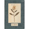 Zeszyt A5 60k linia margines 70g FLOWERS 400169420 TOP 2000