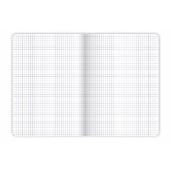 Zeszyt A5 96k kratka margines BOTANY 400182448 TOP 2000