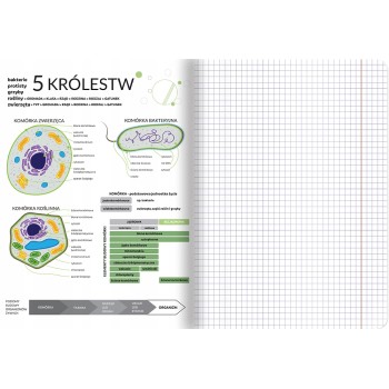 Zeszyt A5 60k kratka margines ściągi BIOLOGIA 400181529 TOP 2000