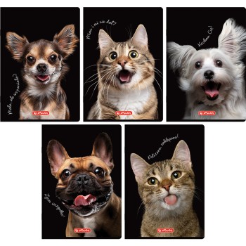 Zeszyt szkolny A5 16 kartek w kratkę kolorową 70g ANIMALS 400196855 HERLITZ