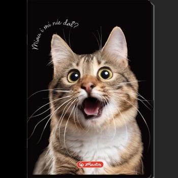 Zeszyt szkolny A5 16 kartek w kratkę kolorową 70g ANIMALS 400196855 HERLITZ