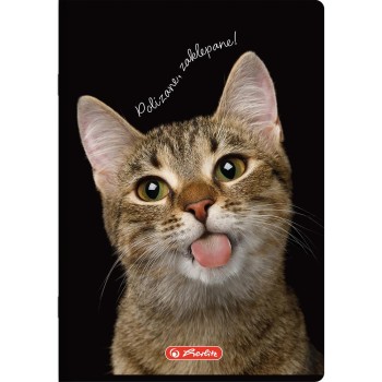 Zeszyt szkolny A5 16 kartek w kratkę kolorową 70g ANIMALS 400196855 HERLITZ