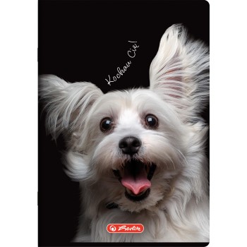 Zeszyt szkolny A5 60 kartek w kratkę 70g CRAZY ANIMAL 400196837 HERLITZ