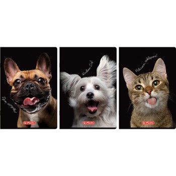 Zeszyt szkolny A4 60 kartek w kratkę 70g CRAZY ANIMAL 400196844 HERLITZ