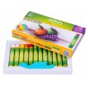 Kredki CRICCO pastele olejowe 12kolorów CR481K12/A/B