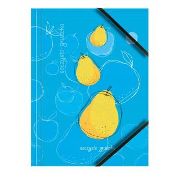 Teczka kartonowa A4 z gumką na rogach 350g. OWOCE (6sztuk) BT601-M1 TETIS