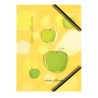 Teczka kartonowa A4 z gumką na rogach 350g. OWOCE (6sztuk) BT601-M1 TETIS