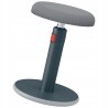 Ergonomiczny stołek Leitz Ergo Cosy szary 65180089