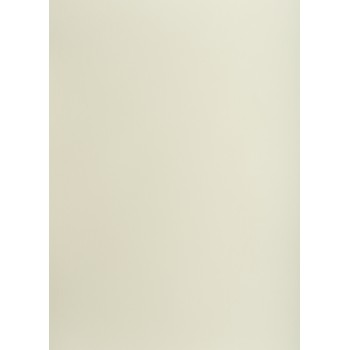 Blok karton kolorowy CREATINIO A1 160g 25 arkuszy nr.93 jasny szary 400149522 TOP 2000
