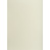 Blok karton kolorowy CREATINIO A1 160g 25 arkuszy nr.93 jasny szary 400149522 TOP 2000