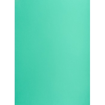 Blok karton kolorowy CREATINIO A1 160g 25 arkuszy nr.64 turkusowy 400149554 TOP 2000