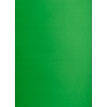 Blok karton kolorowy CREATINIO A1 160g 25 arkuszy nr.68 zielony 400149559 TOP 2000