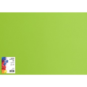 Blok karton kolorowy CREATINIO A2 160g 25 arkuszy nr.66 jasny zielony 400150192 TOP 2000