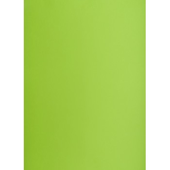 Blok karton kolorowy CREATINIO A2 160g 25 arkuszy nr.66 jasny zielony 400150192 TOP 2000