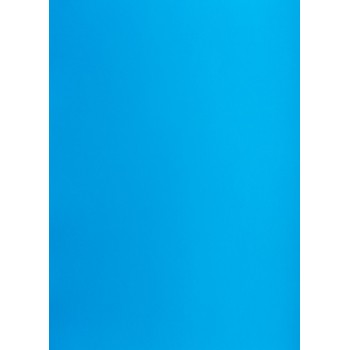 Blok karton kolorowy CREATINIO A2 160g 25 arkuszy nr.78 niebieski 400150202 TOP 2000