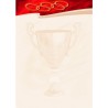 Dyplom A4 SPORT N 170g (25ark) 212317 Galeria Papieru