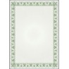 Dyplom A4 CYPRYS 170g (25ark.) 211017 Galeria Papieru