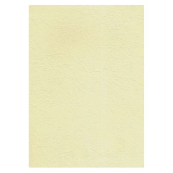 Karton wizytówkowy A4 skórka ecrue 185g. (20ark.) W87 KRESKA