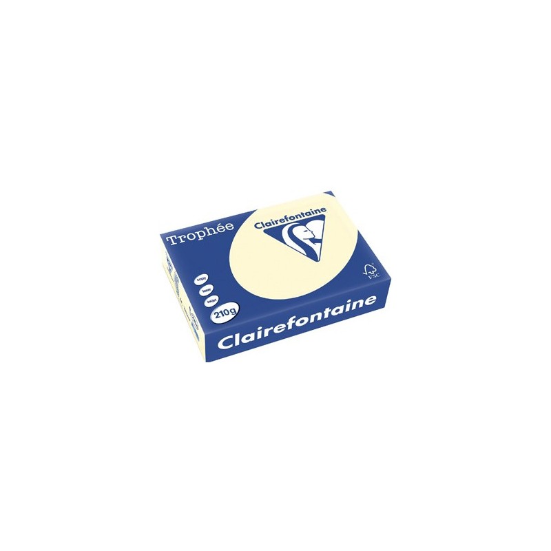 Papier ksero A4 210g 2204 piaskowy EMERSON