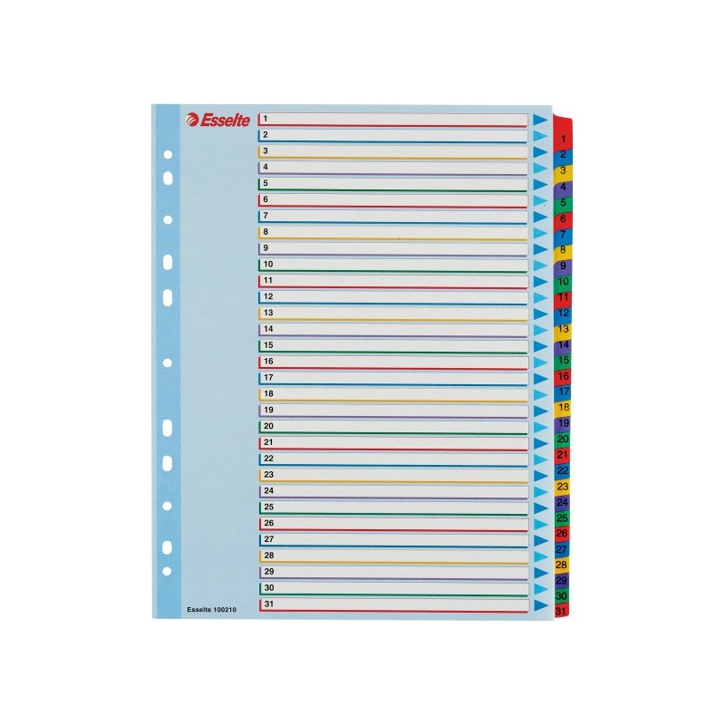 Przekładki kartonowe MYLAR A4 MAXI 1-31 ESSELTE 100210
