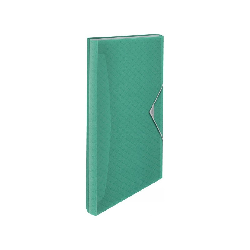 Teczka z przegródkami zielona ESSELTE COLOUR"ICE 626253