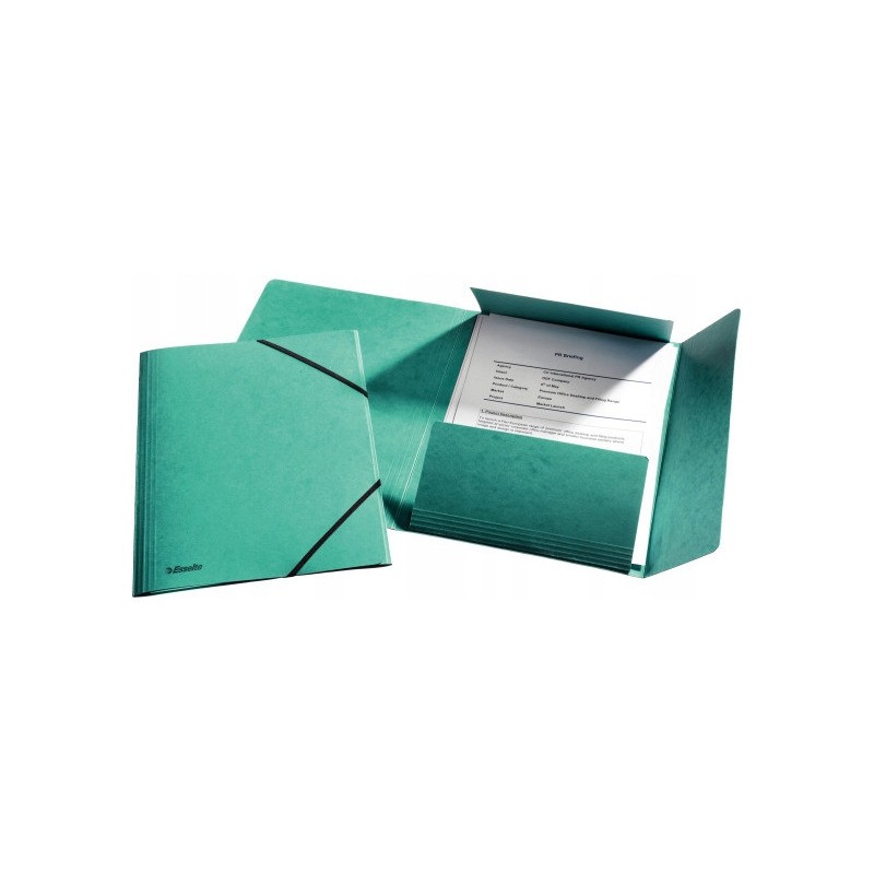 Teczka kartonowa z gumkami ESSELTE zielona 26596