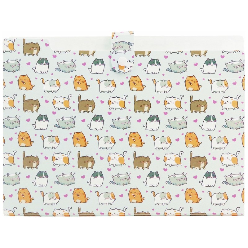 Teczka harmonijkowa A4 PP 5 przegródek z nadrukiem KITTENS THN-A4-35 BIURFOL