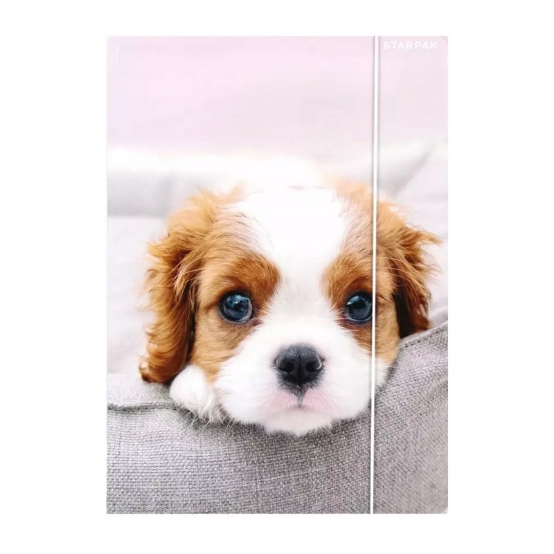 Teczka z gumką A4 PIESKI 559719 STARPAK